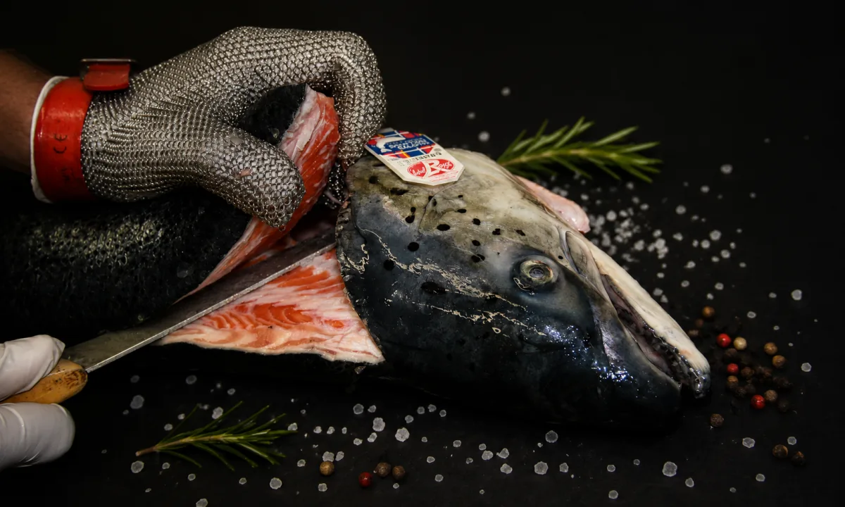 Filetage à la main d'un saumon d'Écosse Label Rouge dans l'atelier Le Saumonier